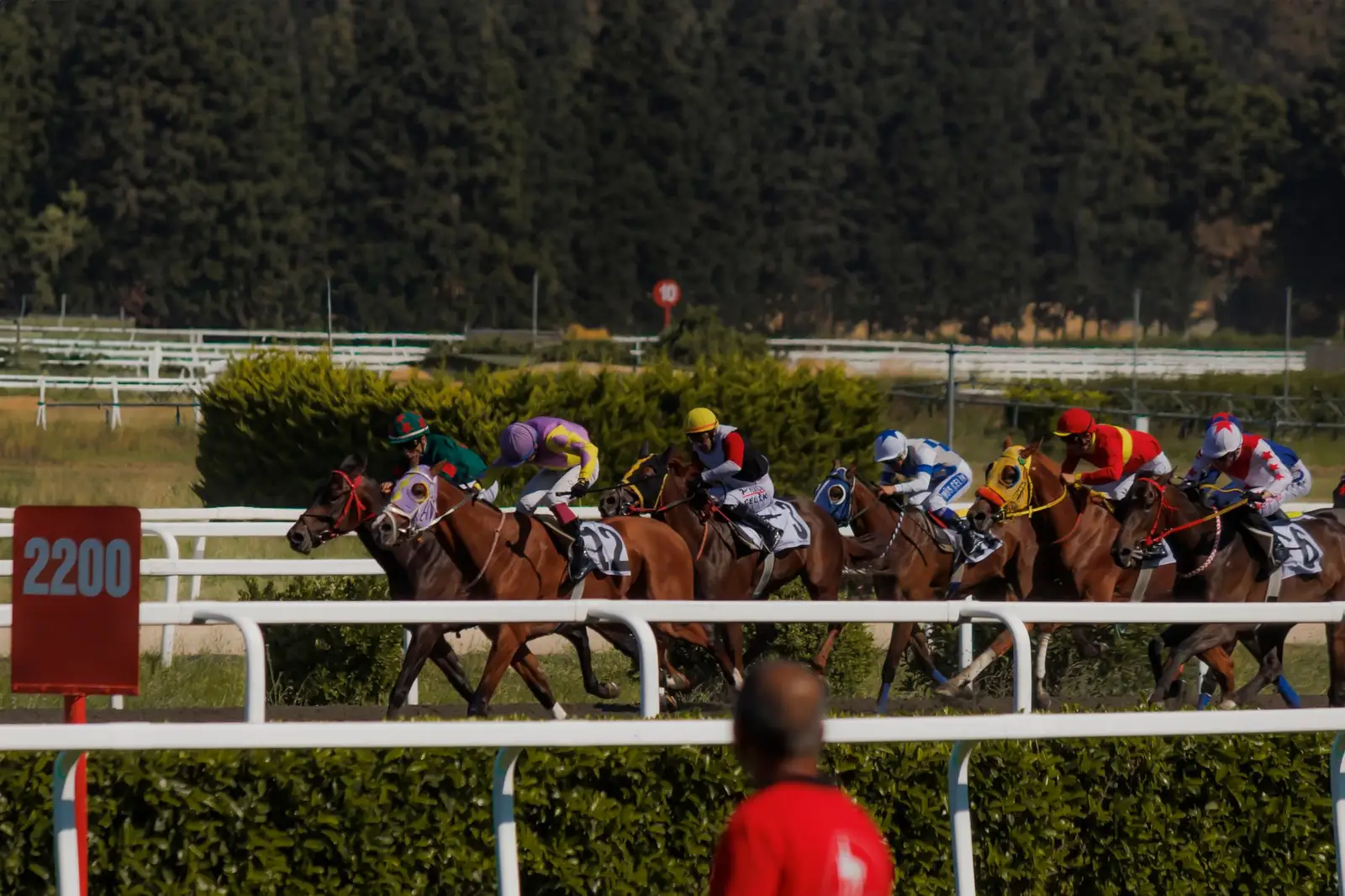 William Hill USA Guide — Is William Hill USA still taking bets? The honest answer